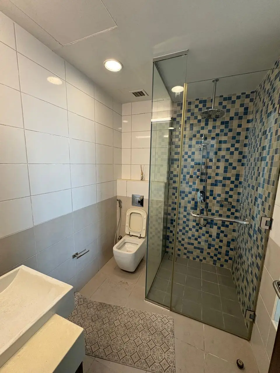 Avant — Salle de bain